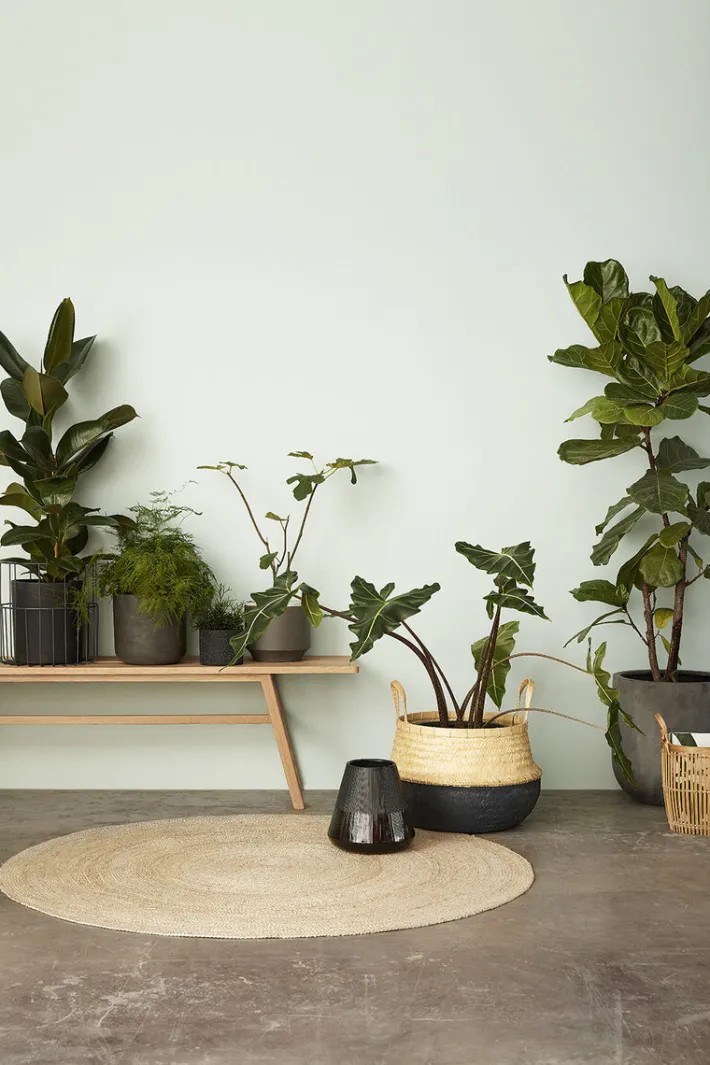 Daze Baskets Black/Natural (set of 2)^Hübsch Flash Sale