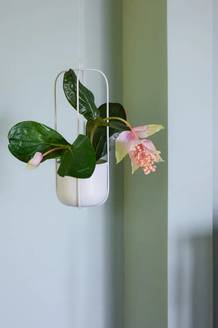 Lotus Hanging Pots Light grey (set of 2)^Hübsch Best